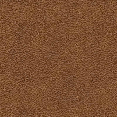 Carianna Loveseat - Faith Furniture (Manhattan, KS)