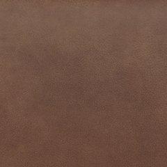 Status Check Recliner - Faith Furniture (Manhattan, KS)