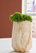 Cammen Vase - Faith Furniture (Manhattan, KS)