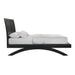 Allan Bed - Faith Furniture (Manhattan, KS)