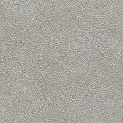 Amiata Upholstery Package - Faith Furniture (Manhattan, KS)