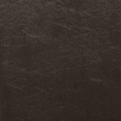 Kimonte Dining Chair Set - Faith Furniture (Manhattan, KS)
