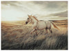 Errolville Wall Art - Faith Furniture (Manhattan, KS)