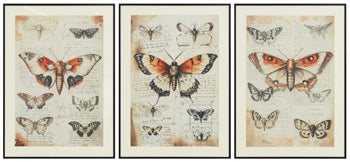 Jossletts Wall Art (Set of 3) - Faith Furniture (Manhattan, KS)