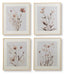 Chettings Wall Art (Set of 4) - Faith Furniture (Manhattan, KS)