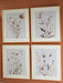 Chettings Wall Art (Set of 4) - Faith Furniture (Manhattan, KS)
