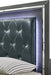 Elements International Titanium Queen Storage Bed in Gray - Faith Furniture (Manhattan, KS)