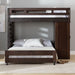 Elements International Vista Twin over Full Basic Loft Bed with Desk in Brown - Faith Furniture (Manhattan, KS)