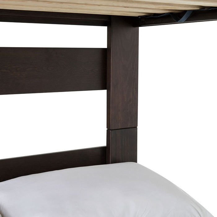 Elements International Vista Twin over Full Bunk Bed with Ladder in Brown - Faith Furniture (Manhattan, KS)