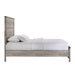 Millers Cove Queen Panel Bed - Faith Furniture (Manhattan, KS)