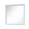 Elements International Catalina Youth Mirror in White - Faith Furniture (Manhattan, KS)